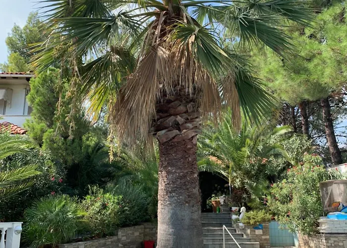 Haus Renate דירה
